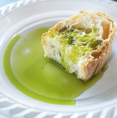 ノヴェッロ2025　イメージ